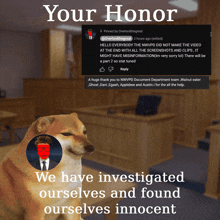 a picture of a dog in a courtroom with the words " your honor " above it