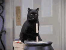 GIF