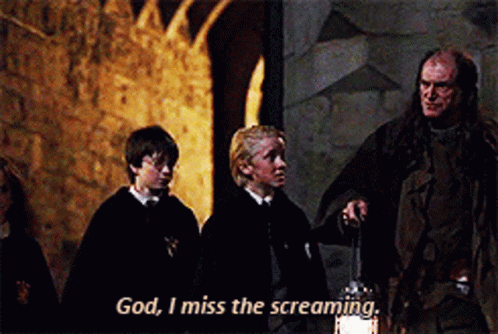 Harry Potter Draco Malfoy GIF - Harry Potter Draco Malfoy Hermione Granger  - Discover & Share GIFs