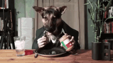 Dog Human GIF - Peanut Butter Dog Lick GIFs