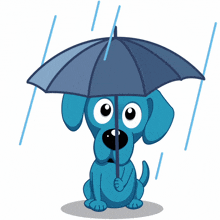 Rain Blue Dog GIF