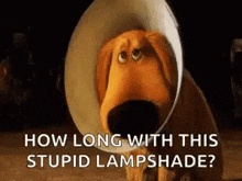 Lampshade GIF