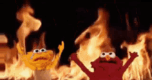 Elmo Fire GIF - Elmo Fire Snail GIFs