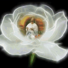 Jesus Flowers GIF - Jesus Flowers White Rose GIFs