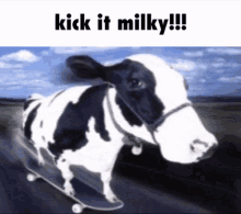 Milky Kick It GIF - Milky Kick It Kickflip GIFs