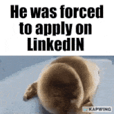 He Was Forced To Apply On Linkedin GIF - He Was Forced To Apply On Linkedin He Was Forced To GIFs