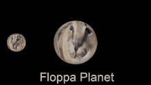Floppa Floppa Planet GIF - Floppa Floppa Planet Planet GIFs