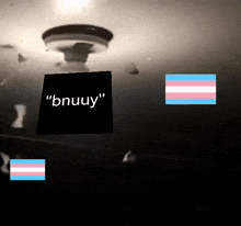 a sign that says " bnuuy " is surrounded by transgender flags