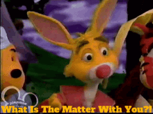 The Book Of Pooh Rabbit GIF - The Book Of Pooh Rabbit What Is The Matter With You GIFs