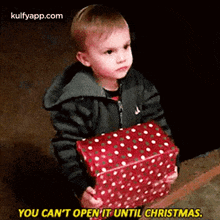 You Can'T Open'It Until Christmas..Gif GIF - You Can'T Open'It Until Christmas. Person Human GIFs