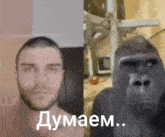 a man and a gorilla are standing next to each other and the gorilla is looking at the man .