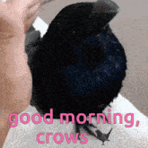 a black bird sitting on a person 's arm with the words " good morning crows " below it