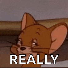 a picture of jerry from tom and jerry with the words " really " below him