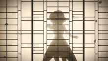 a shadow of a woman is cast behind a grid of bars