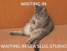 Sea Slug Studio GIF - Sea Slug Studio GIFs