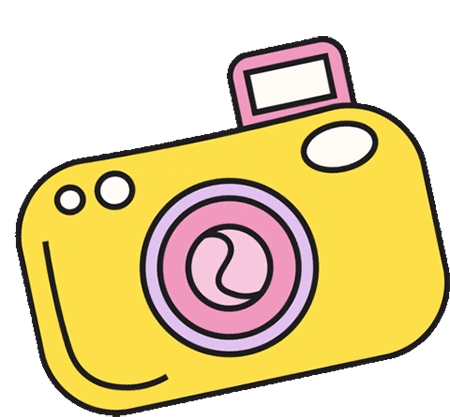 Camera Flash Sticker - Camera Flash Smile Stickers