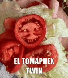 Aphex Twin El Tomaphex Twin GIF - Aphex Twin El Tomaphex Twin Tomato GIFs