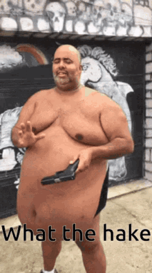 Fat Man What The Hake GIF - Fat Man What The Hake Hide GIFs