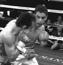 Alex Punches George Boxing GIF - Alex Punches George Boxing GIFs