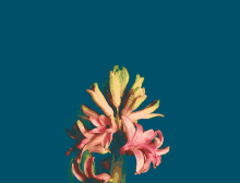 Blooming GIF