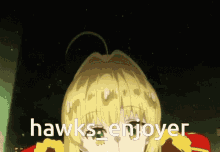hawks enjoyer is written on a cartoon character 's face