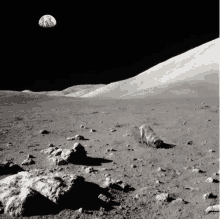 Dog Digging GIF - Dog Digging Outer Space GIFs