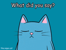 a cartoon cat with the words what did you say written below it
