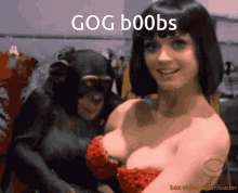 Gog Gog1googboobs Boobs Monkey Monke GIF - Gog Gog1googboobs Boobs Monkey Monke GIFs