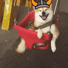 Dog Shiba GIF - Dog Shiba Shiba Inu GIFs