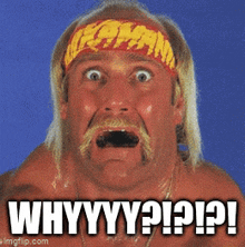 Hulk Hogan Wwe GIF - Hulk Hogan Hulk Wwe GIFs
