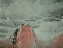 Yes Squirt GIF - Yes Squirt GIFs