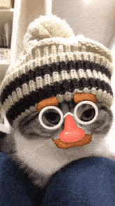 a cat wearing a beanie and glasses with a fake nose