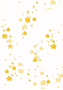 gold stars