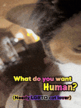 a picture of a cat with the words what do you want human needy lgbtq cat lover
