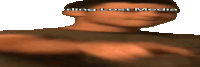 a pixelated image of a boy with the words " rling lost media " written on his face