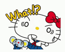 Hello Kitty What GIF - Hello Kitty What GIFs