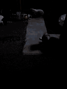 a bottle of aquafina water sits on a rug