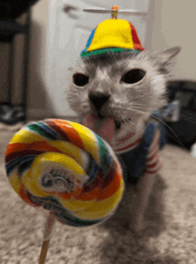 a cat wearing a hat licking a lollipop