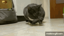 Puking Cat Cat GIF - Puking Cat Cat Vomit GIFs