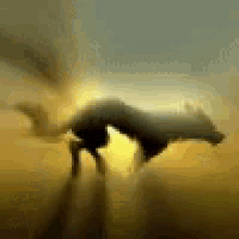 a blurred image of a person standing in a field with a dog in the background .
