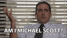 am i michael scott im the boss manager i am in charge who am i