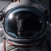 a sheep wearing an astronaut 's helmet looks out of it