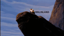 Milin Show Off GIF - Milin Show Off Lion King GIFs