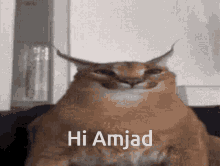 Hi Amjad GIF - Hi Amjad GIFs