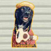 Cacausando Cacauecookie GIF - Cacausando Cacauecookie Cachorro GIFs