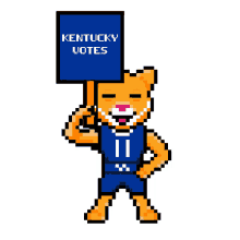 vote university of kentucky kentucky wildcats kentucky wildcats