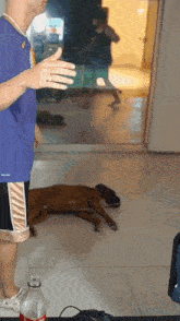 a man in a blue nike shirt is standing next to a dog