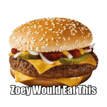 a hamburger with the words zocy would eat this written below it