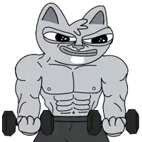 a cartoon of a cat lifting dumbbells with a funny face