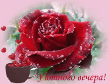 роза цветы GIF - роза цветы GIFs